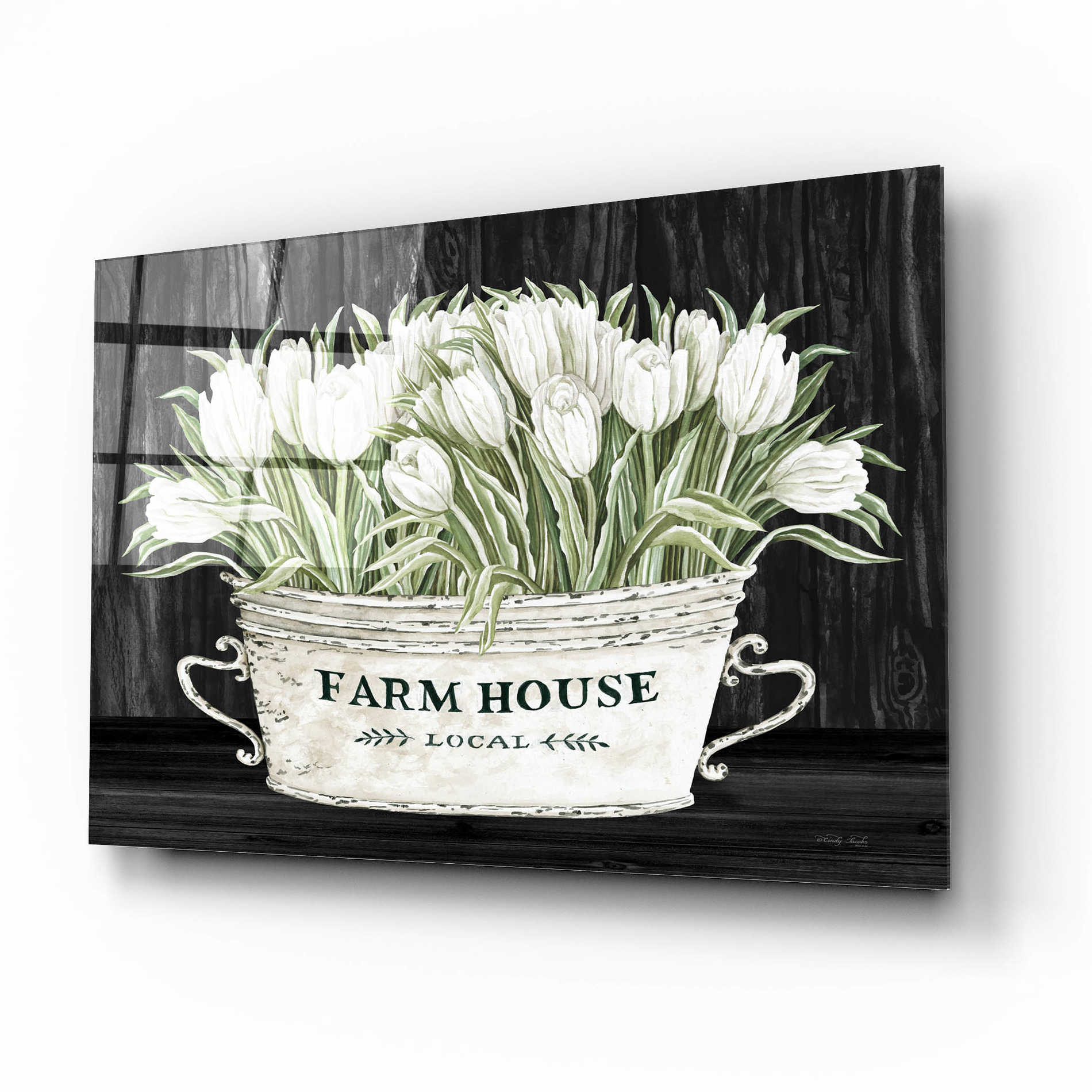 Epic Art 'Farmhouse Tulips' by Cindy Jacobs, Acrylic Glass Wall Art,16x12