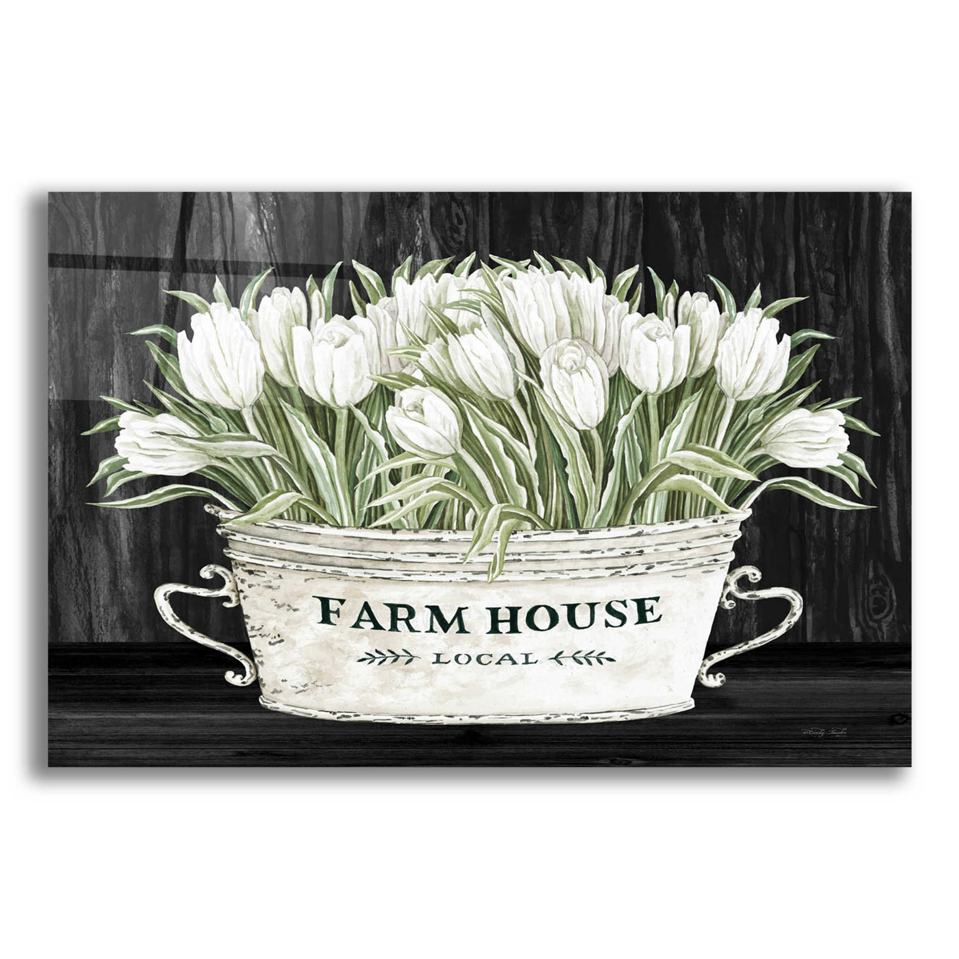 Epic Art 'Farmhouse Tulips' by Cindy Jacobs, Acrylic Glass Wall Art,16x12