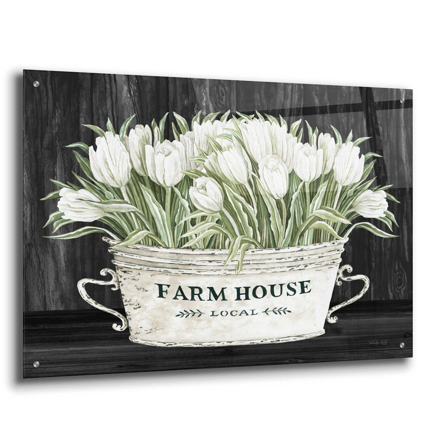 Epic Art 'Farmhouse Tulips' by Cindy Jacobs, Acrylic Glass Wall Art,36x24