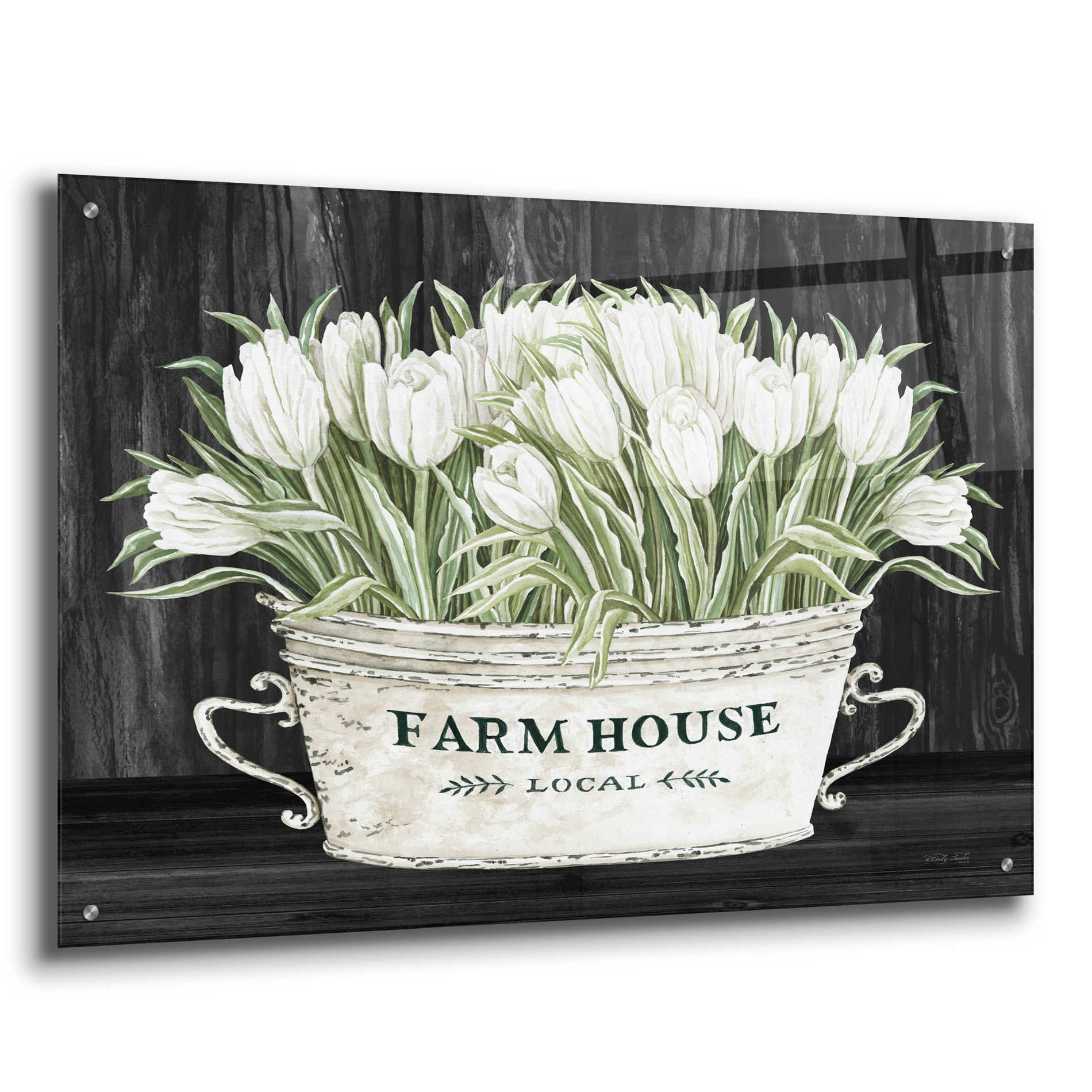 Epic Art 'Farmhouse Tulips' by Cindy Jacobs, Acrylic Glass Wall Art,36x24