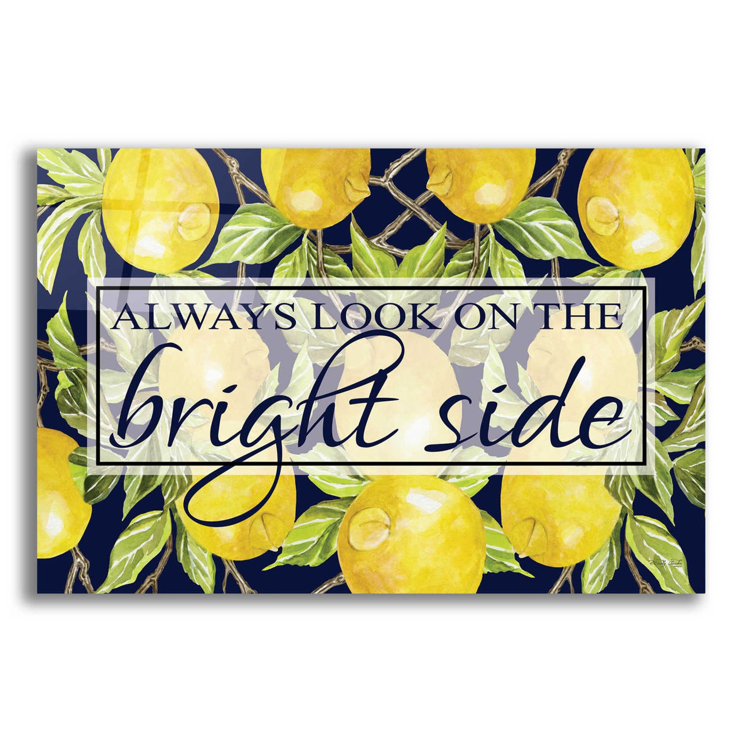 Epic Art 'Bright Side' by Cindy Jacobs, Acrylic Glass Wall Art,24x16