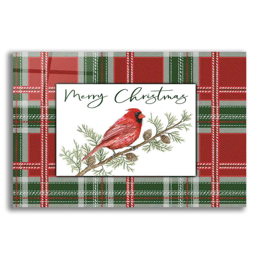 Epic Art 'Merry Christmas Cardinal' by Cindy Jacobs, Acrylic Glass Wall Art