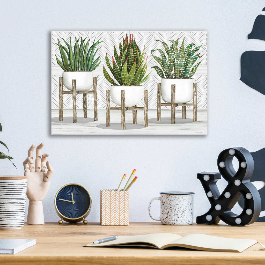 Epic Art 'Succulent Trio on Stands' by Cindy Jacobs, Acrylic Glass Wall Art,16x12