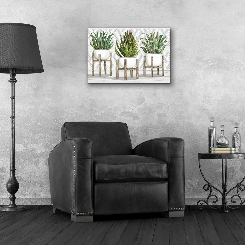 Epic Art 'Succulent Trio on Stands' by Cindy Jacobs, Acrylic Glass Wall Art,24x16