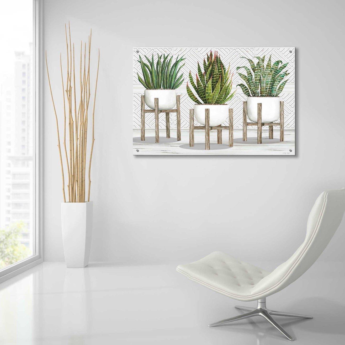 Epic Art 'Succulent Trio on Stands' by Cindy Jacobs, Acrylic Glass Wall Art,36x24