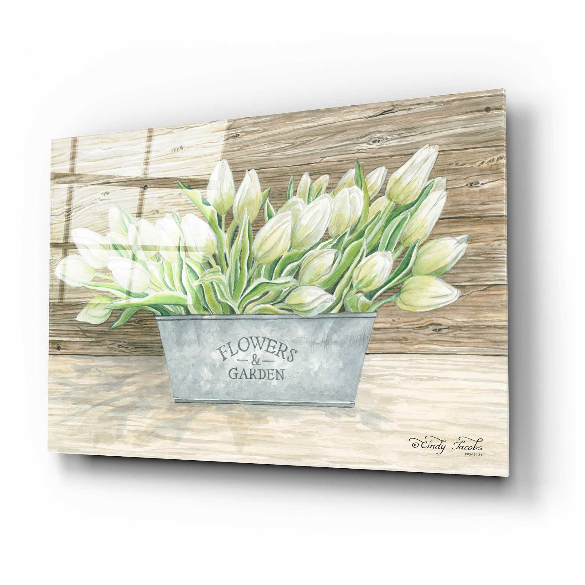 Epic Art 'Flowers & Garden Tulips' by Cindy Jacobs, Acrylic Glass Wall Art,24x16