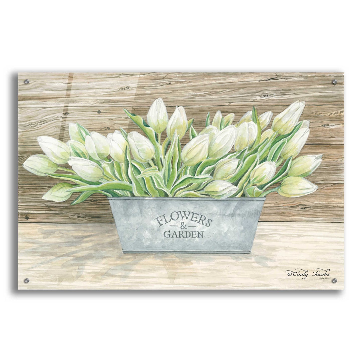 Epic Art 'Flowers & Garden Tulips' by Cindy Jacobs, Acrylic Glass Wall Art,36x24