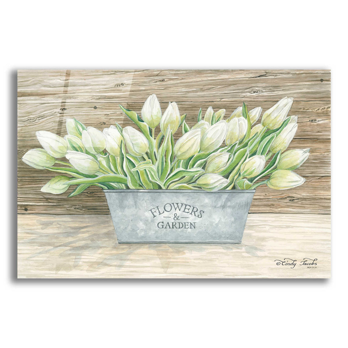 Epic Art 'Flowers & Garden Tulips' by Cindy Jacobs, Acrylic Glass Wall Art