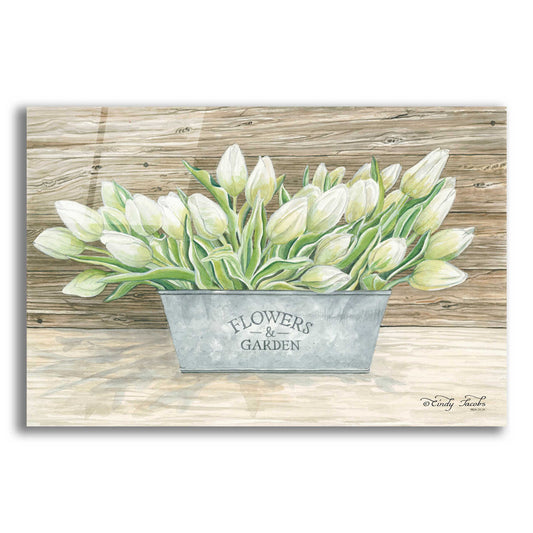 Epic Art 'Flowers & Garden Tulips' by Cindy Jacobs, Acrylic Glass Wall Art