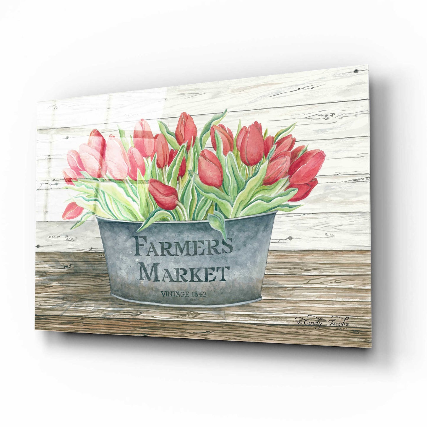 Epic Art 'Farmer's Market Tulips' by Cindy Jacobs, Acrylic Glass Wall Art,16x12