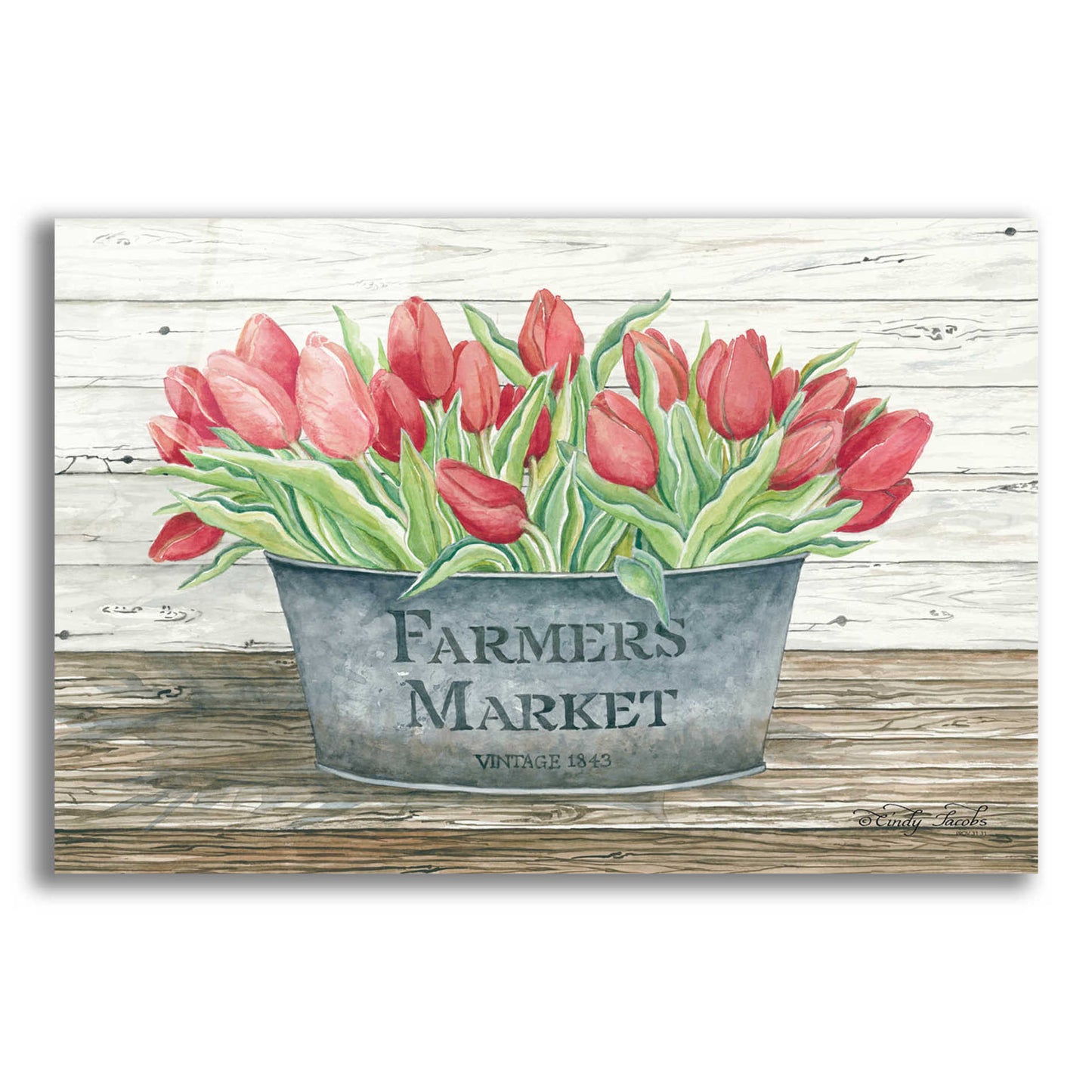 Epic Art 'Farmer's Market Tulips' by Cindy Jacobs, Acrylic Glass Wall Art,16x12