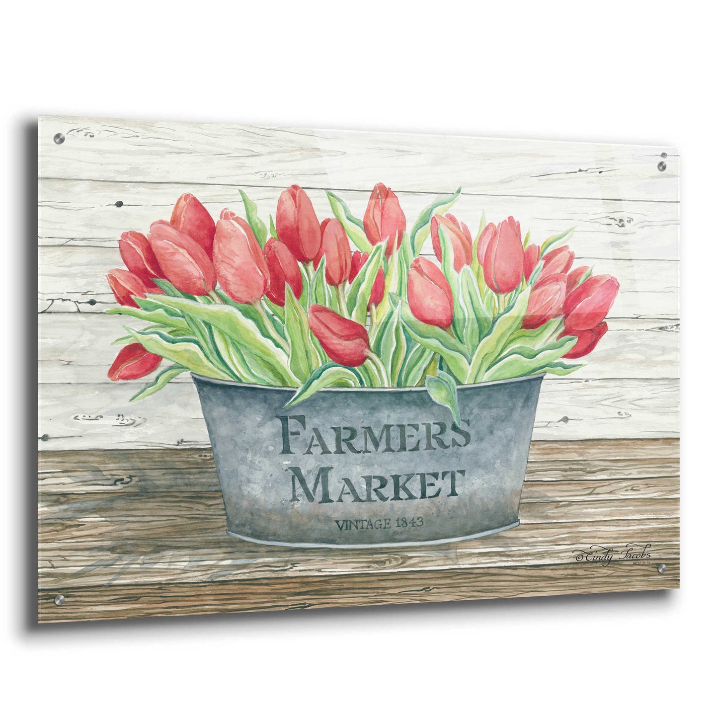 Epic Art 'Farmer's Market Tulips' by Cindy Jacobs, Acrylic Glass Wall Art,36x24