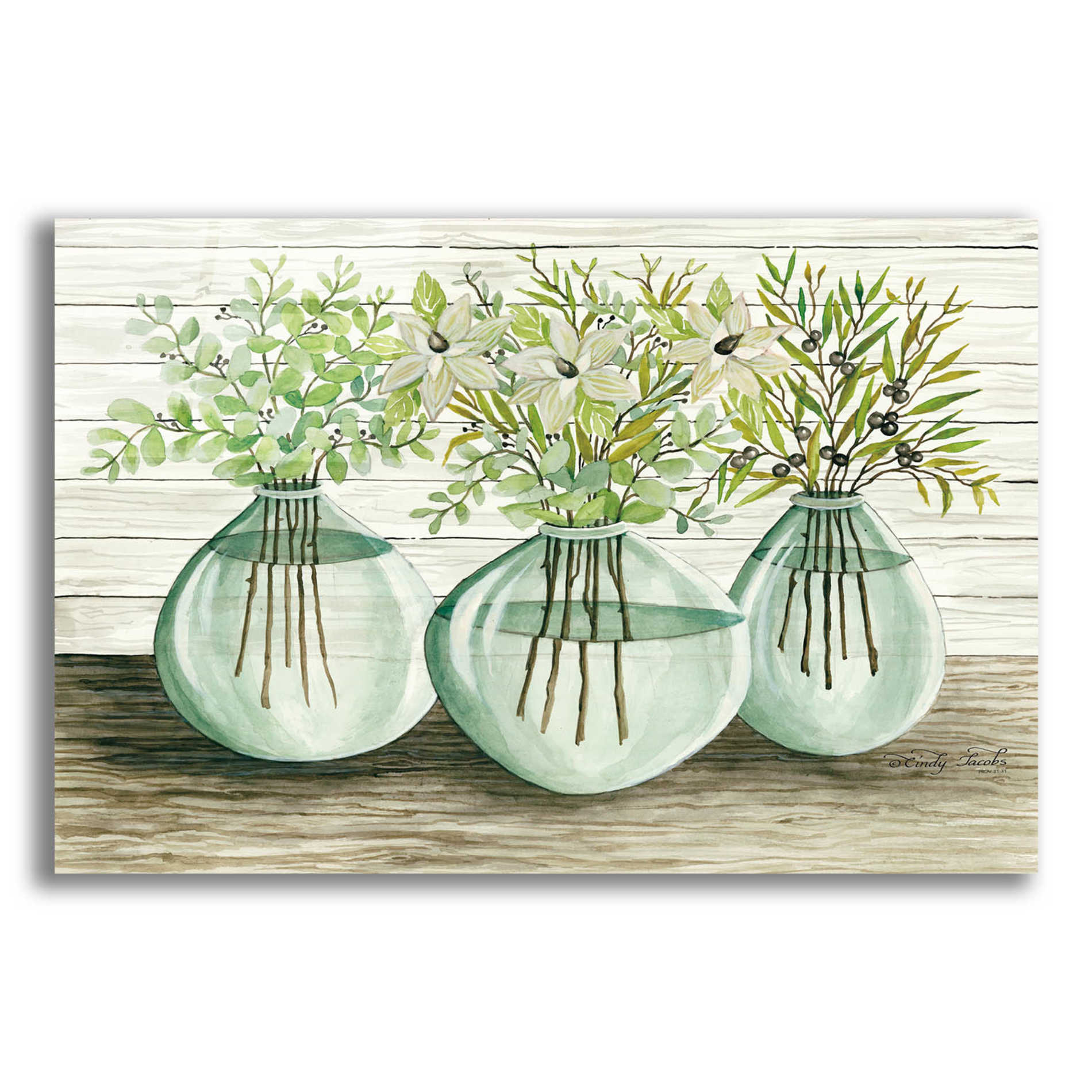 Epic Art 'Eucalyptus in Glass Vases' by Cindy Jacobs, Acrylic Glass Wall Art,16x12