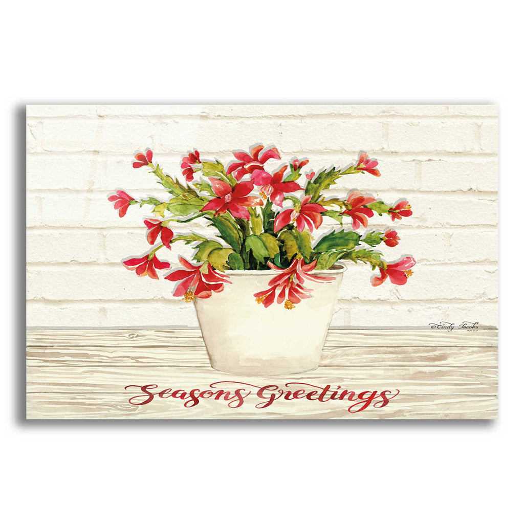 Epic Art 'Christmas Cactus - Season's Greetings' by Cindy Jacobs, Acrylic Glass Wall Art