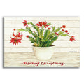Epic Art 'Christmas Cactus - Merry Christmas' by Cindy Jacobs, Acrylic Glass Wall Art