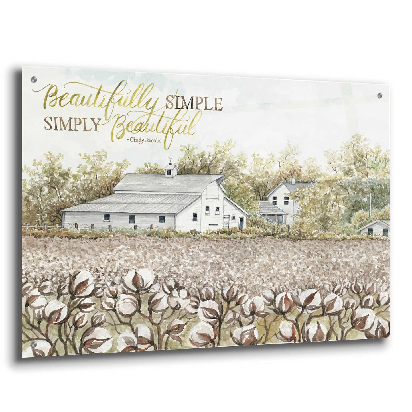 Epic Art 'Beautifully Simple Cotton Farm' by Cindy Jacobs, Acrylic Glass Wall Art,36x24