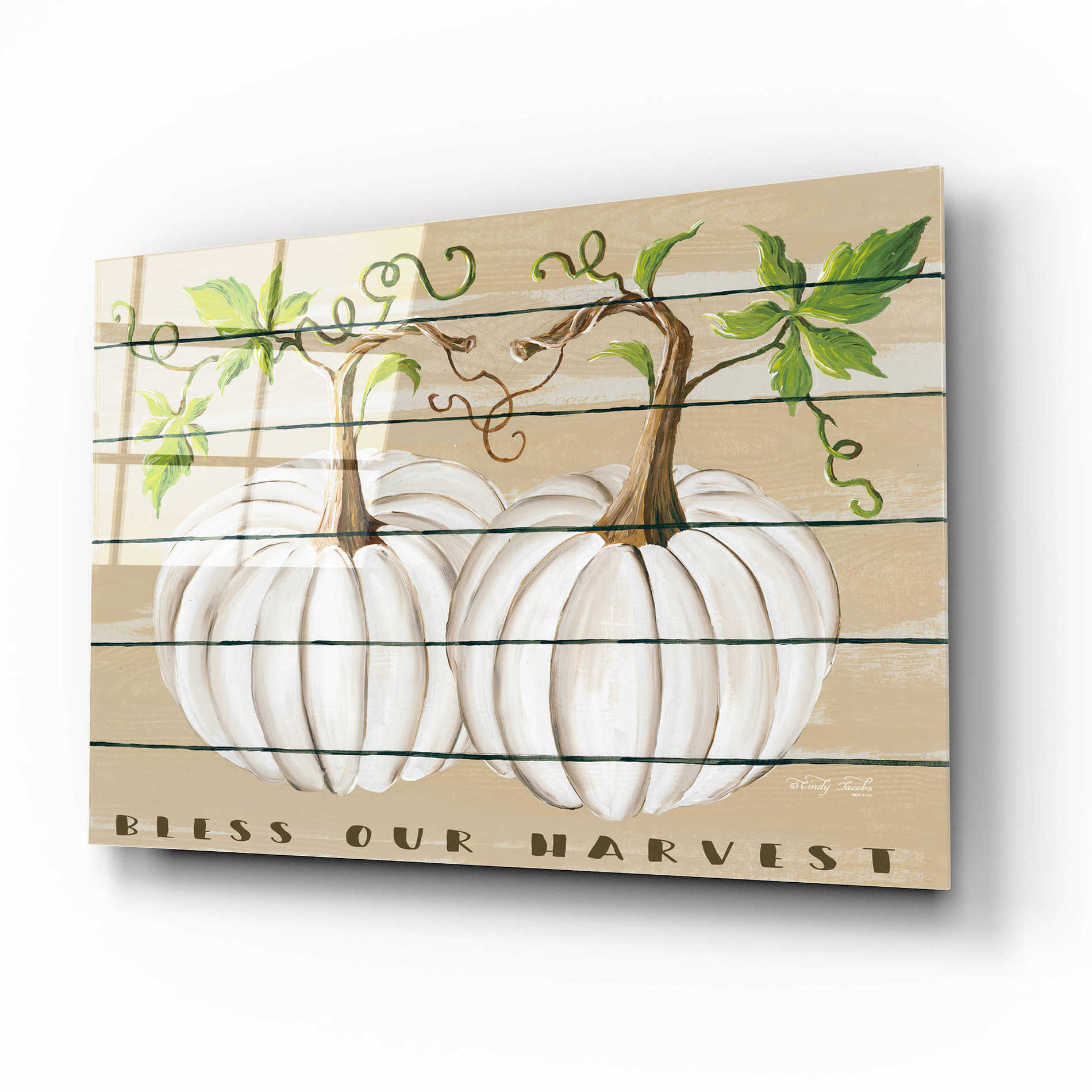 Epic Art 'Bless Our Harvest' by Cindy Jacobs, Acrylic Glass Wall Art,16x12