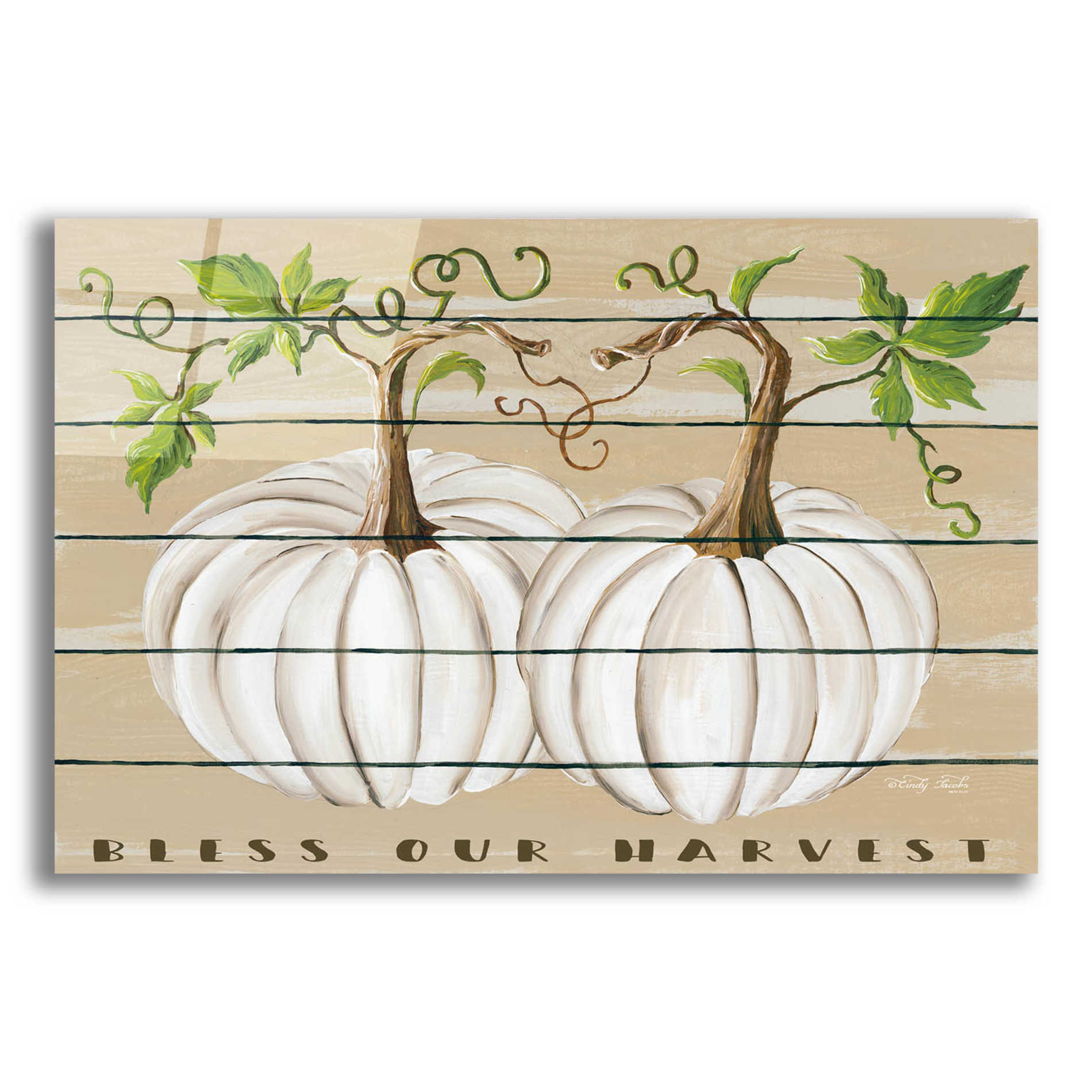 Epic Art 'Bless Our Harvest' by Cindy Jacobs, Acrylic Glass Wall Art,16x12