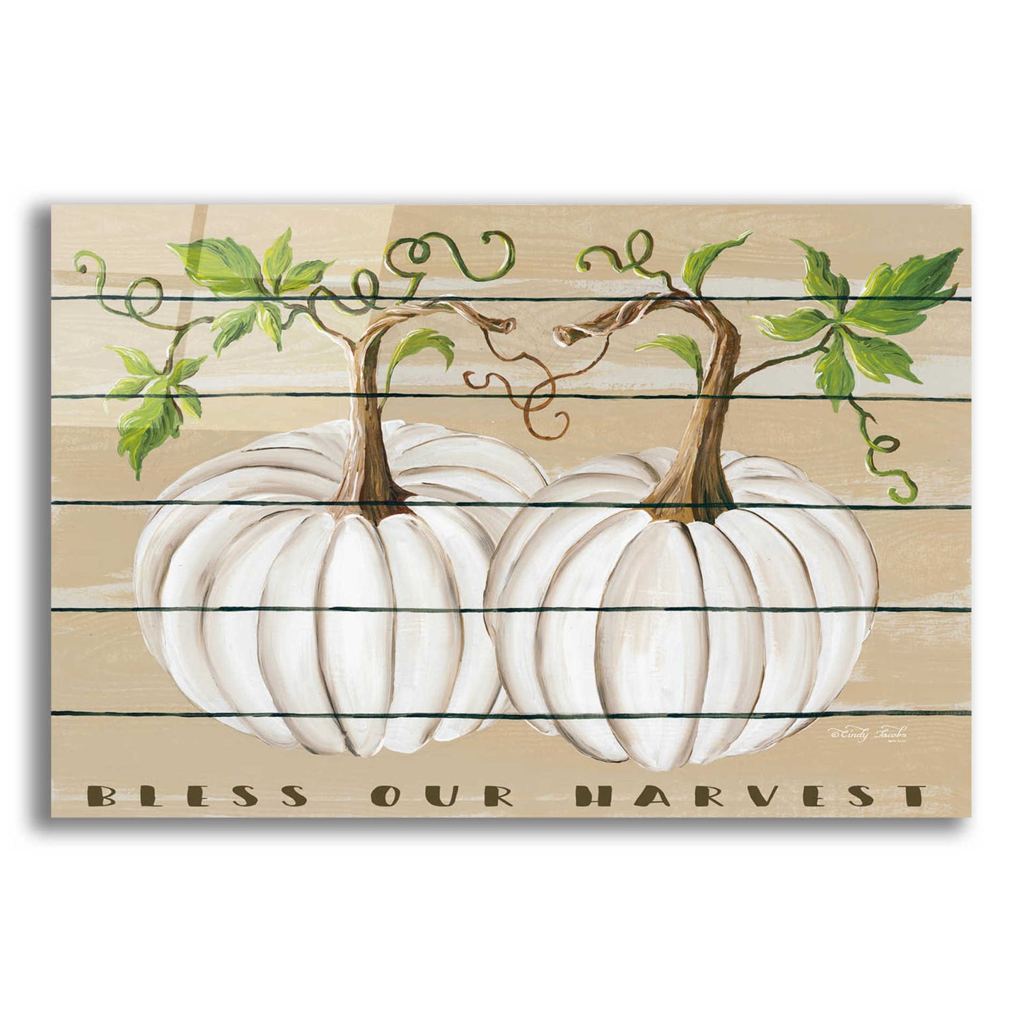 Epic Art 'Bless Our Harvest' by Cindy Jacobs, Acrylic Glass Wall Art,24x16