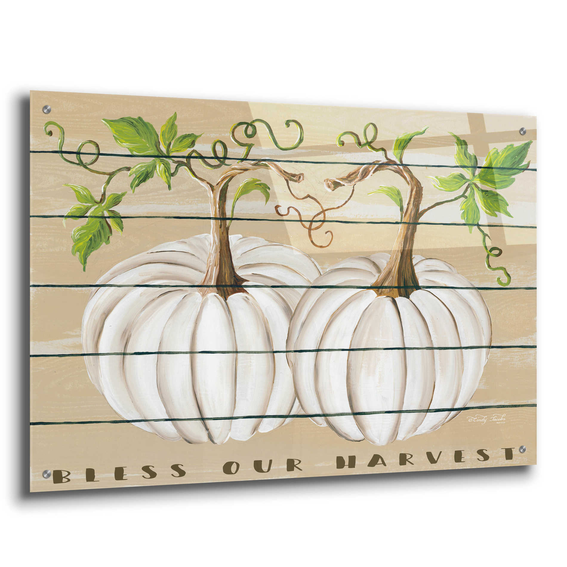 Epic Art 'Bless Our Harvest' by Cindy Jacobs, Acrylic Glass Wall Art,36x24