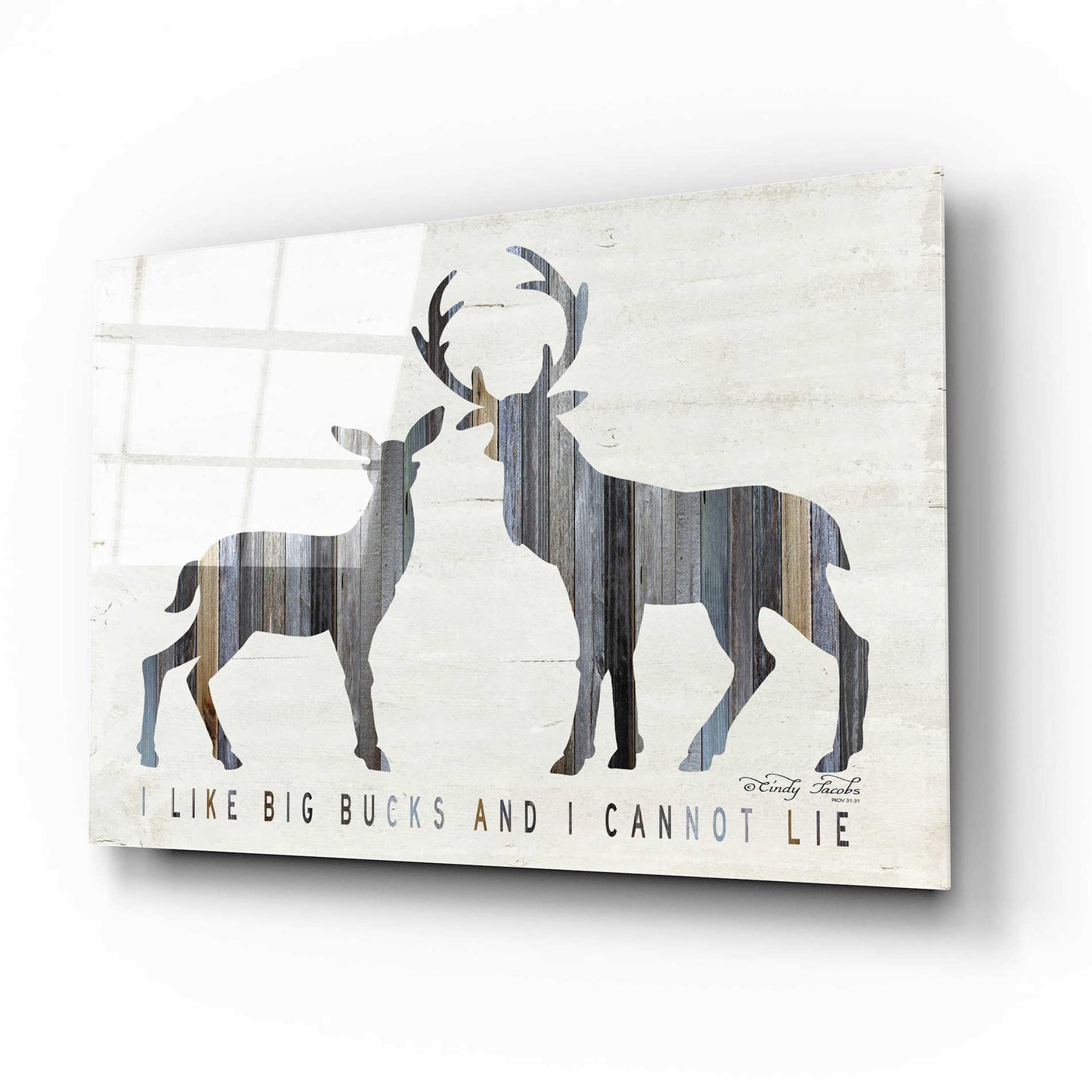 Epic Art 'I Like Big Bucks' by Cindy Jacobs, Acrylic Glass Wall Art,16x12
