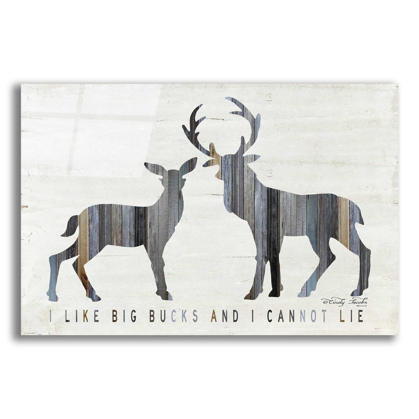 Epic Art 'I Like Big Bucks' by Cindy Jacobs, Acrylic Glass Wall Art,16x12