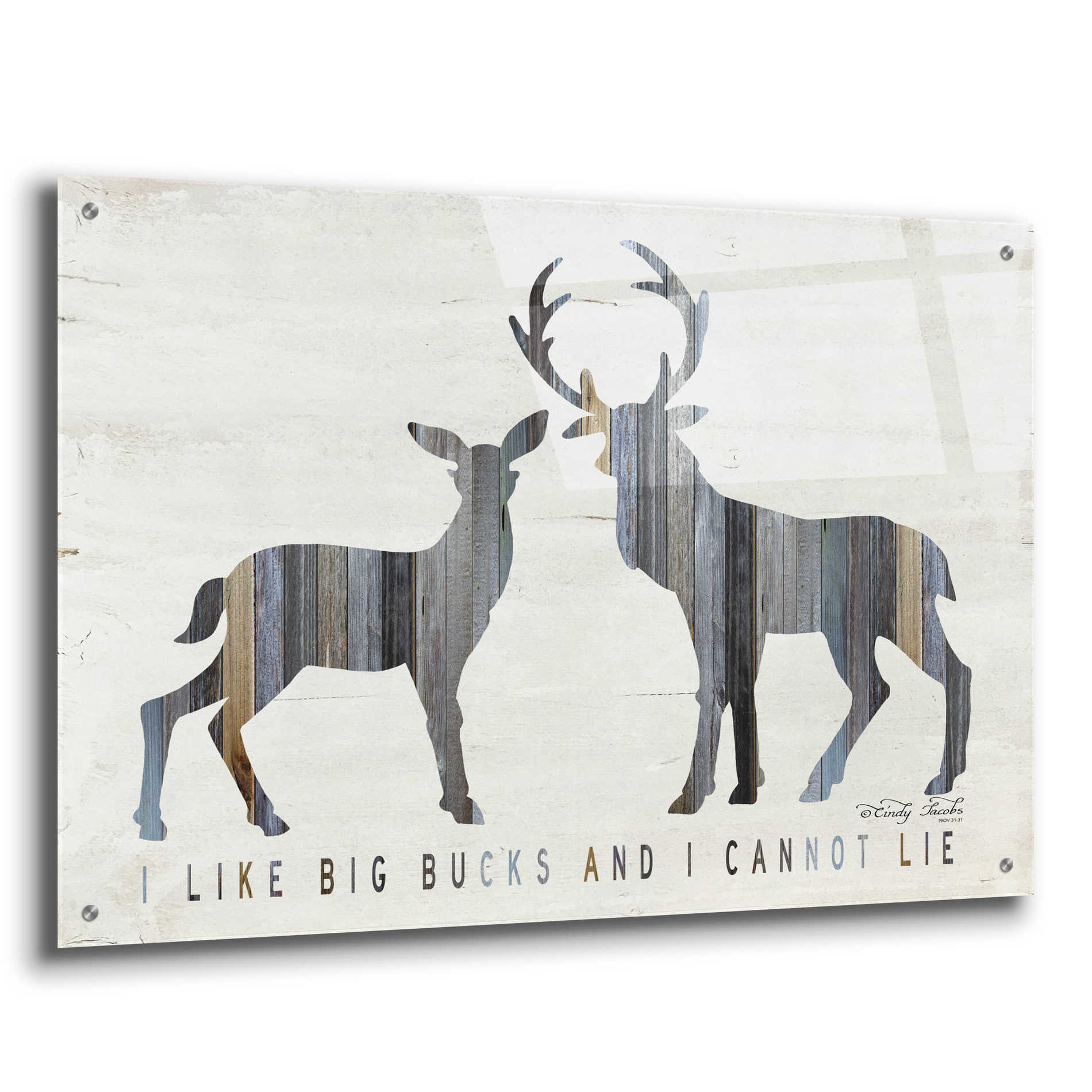 Epic Art 'I Like Big Bucks' by Cindy Jacobs, Acrylic Glass Wall Art,36x24