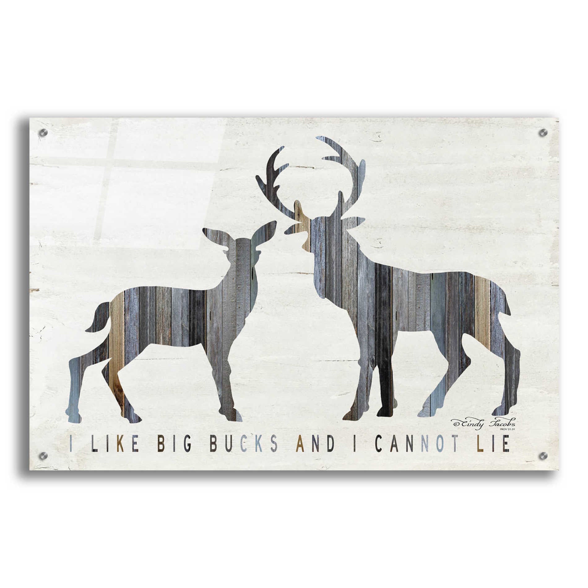 Epic Art 'I Like Big Bucks' by Cindy Jacobs, Acrylic Glass Wall Art,36x24