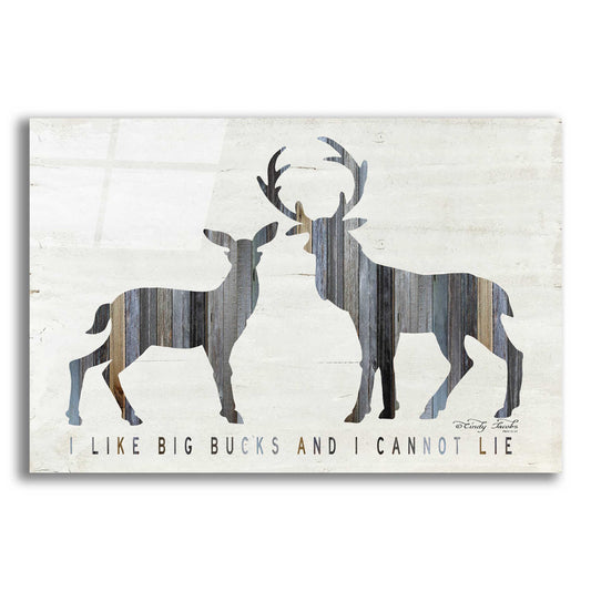 Epic Art 'I Like Big Bucks' by Cindy Jacobs, Acrylic Glass Wall Art