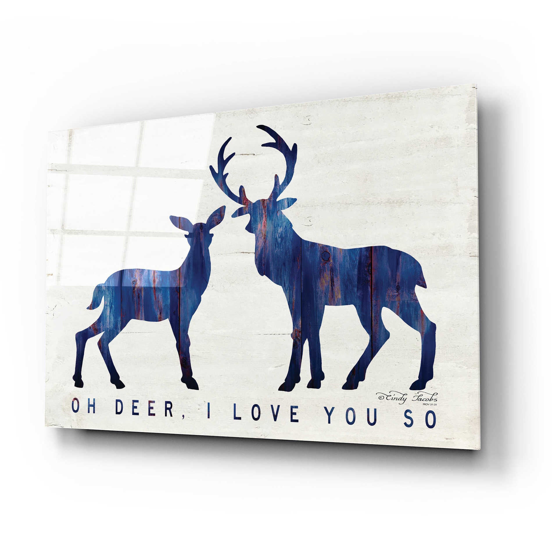 Epic Art 'Oh Deer, I Love You So' by Cindy Jacobs, Acrylic Glass Wall Art,24x16