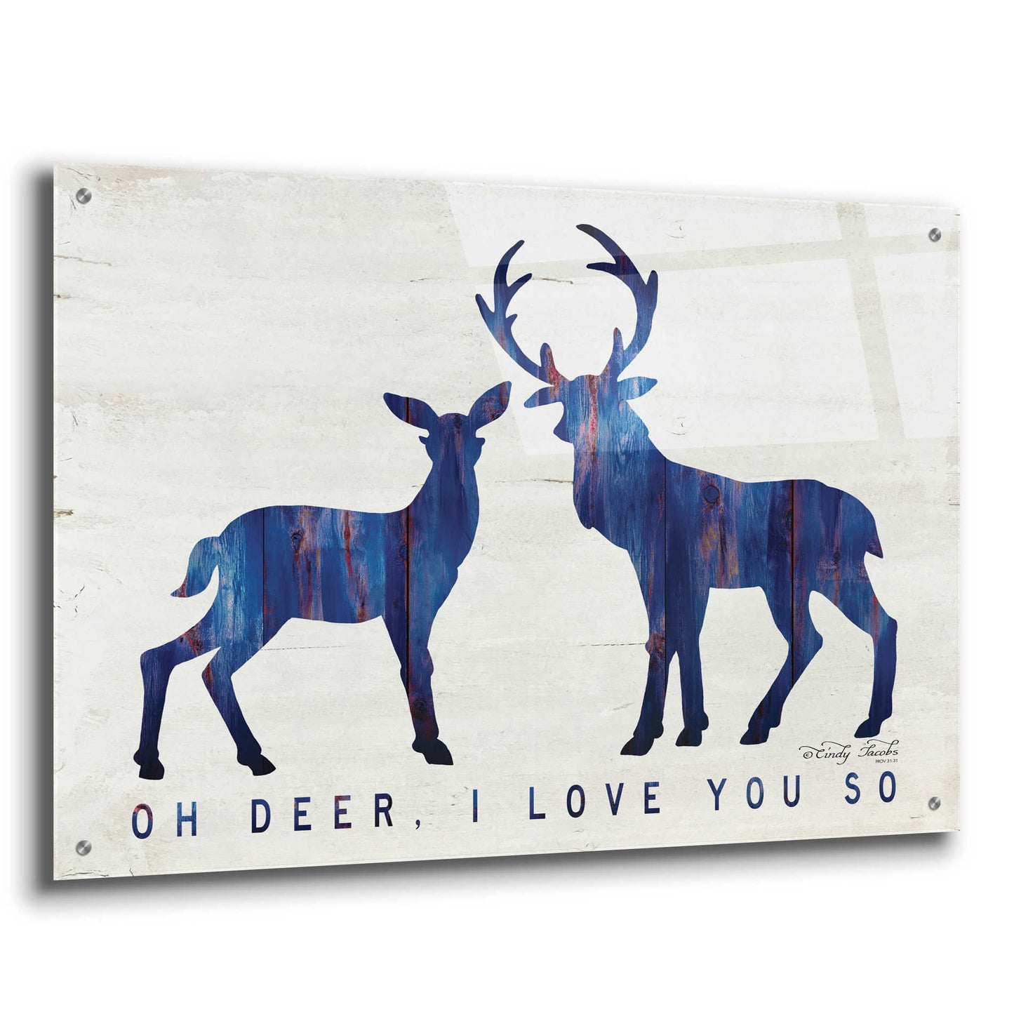 Epic Art 'Oh Deer, I Love You So' by Cindy Jacobs, Acrylic Glass Wall Art,36x24