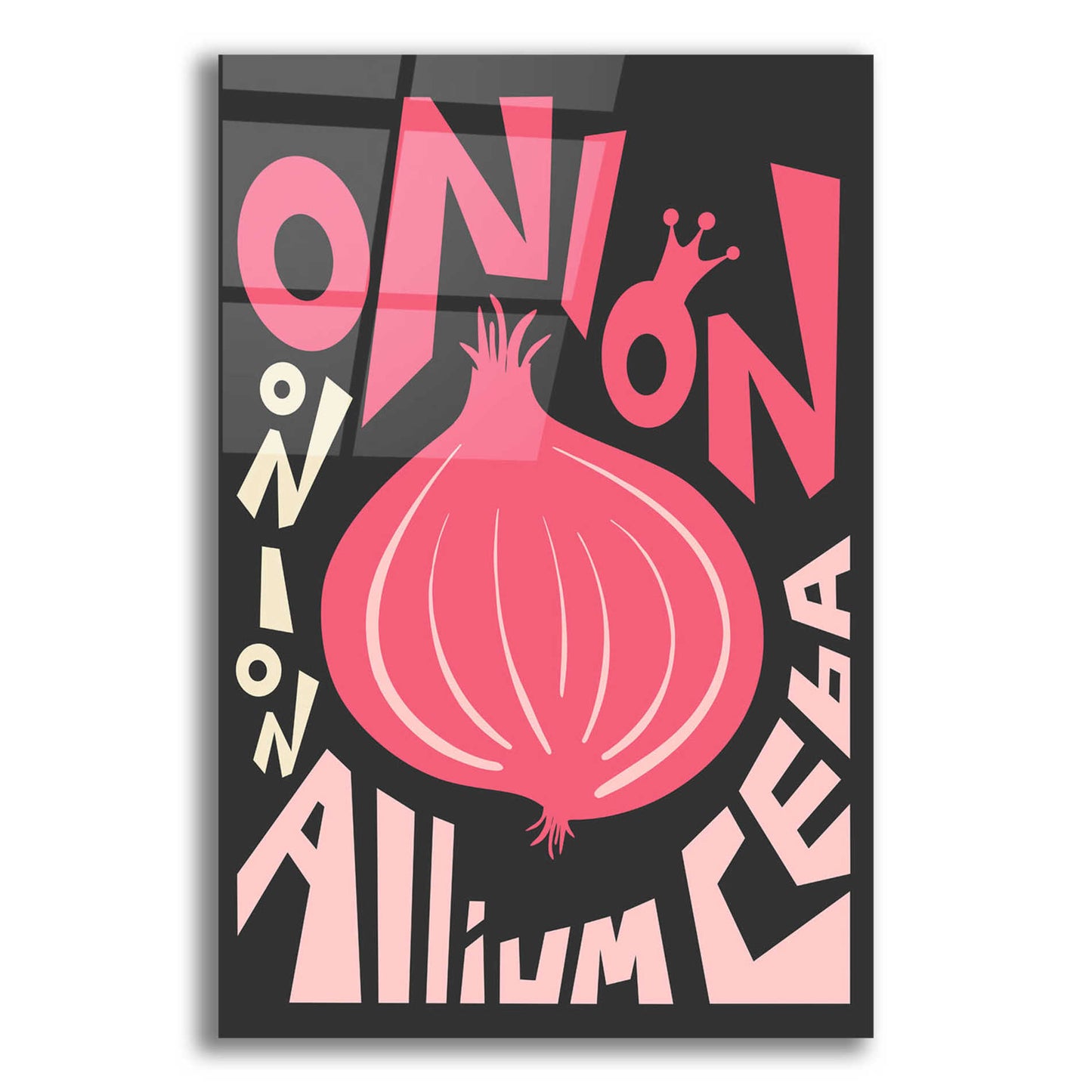 Epic Art 'Kitchen Onion' by Ayse, Acrylic Glass Wall Art,12x16