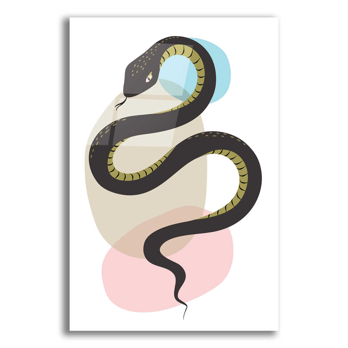 Epic Art 'Snake' by Ayse, Acrylic Glass Wall Art