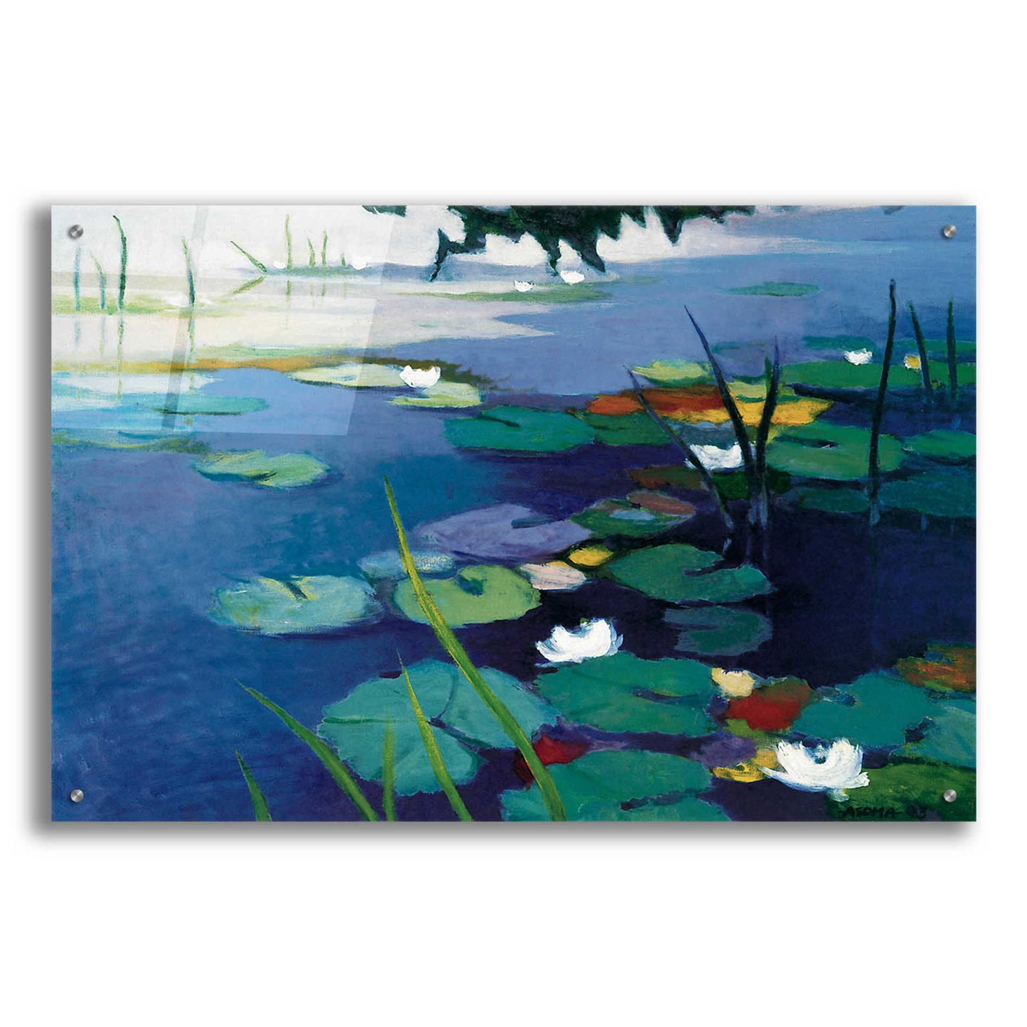 Epic Art 'Water Lilies' by Tadashi Asoma, Acrylic Glass Wall Art,36x24