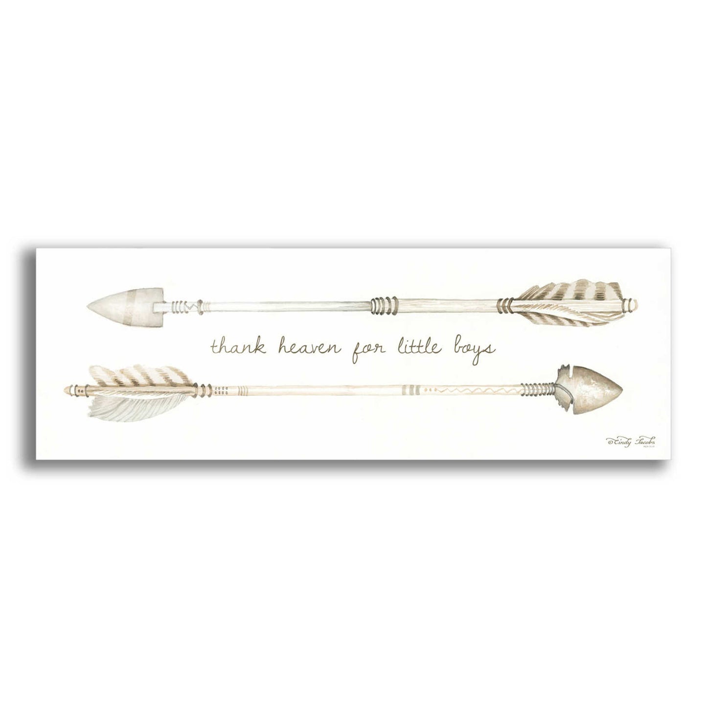 Epic Art 'Arrows - Thank Heaven for Little Boys' by Cindy Jacobs, Acrylic Glass Wall Art,3:1