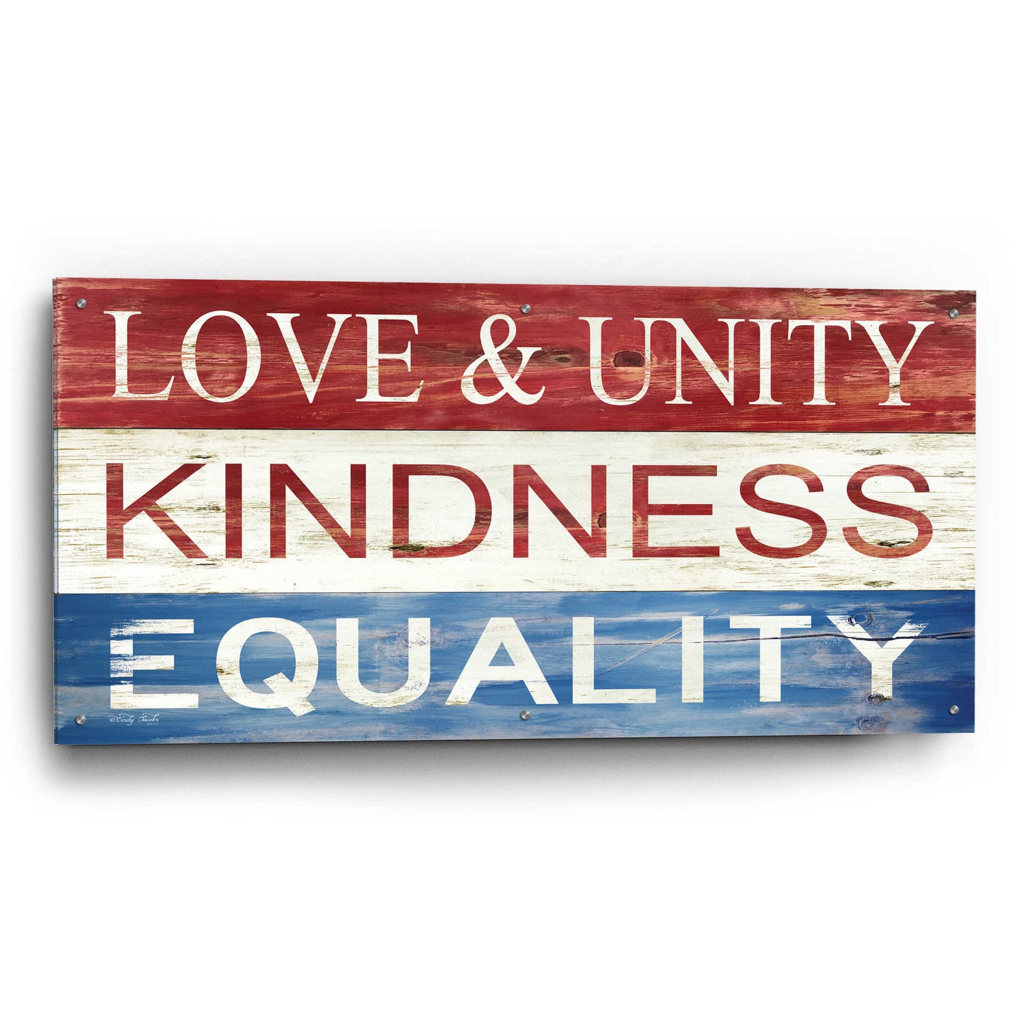 Epic Art 'Love & Unity' by Cindy Jacobs, Acrylic Glass Wall Art,48x24