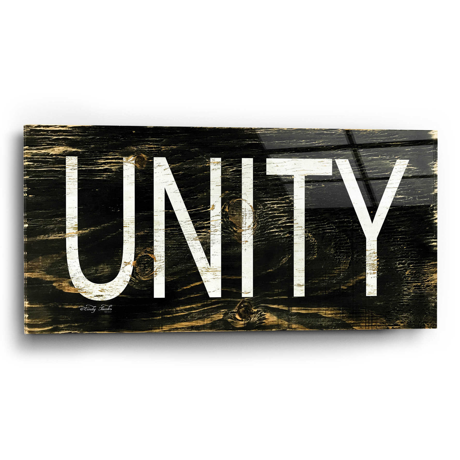 Epic Art 'Unity' by Cindy Jacobs, Acrylic Glass Wall Art,24x12