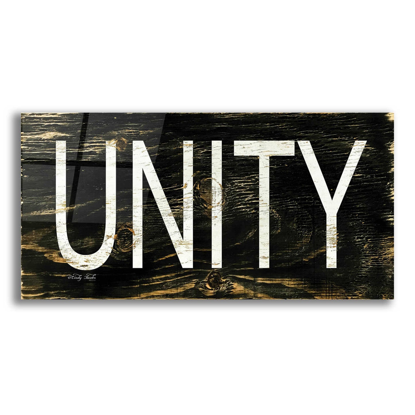 Epic Art 'Unity' by Cindy Jacobs, Acrylic Glass Wall Art,24x12