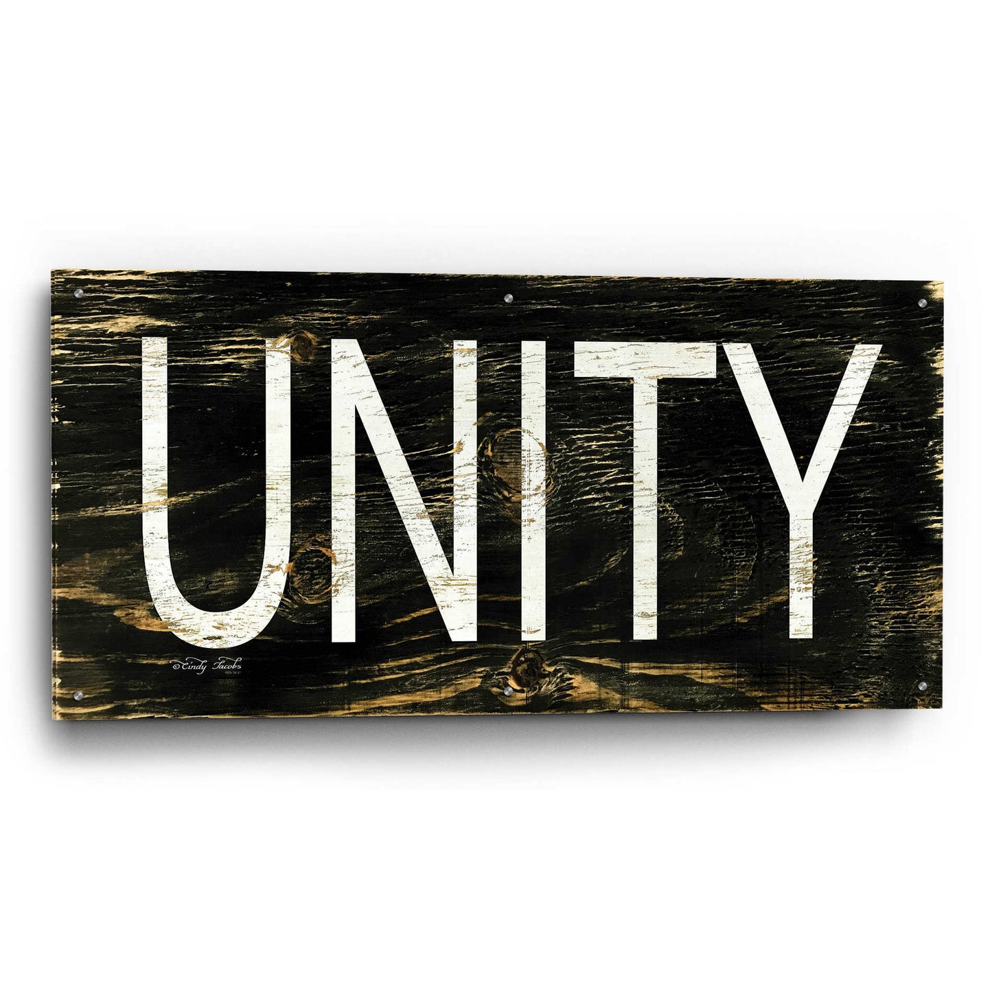 Epic Art 'Unity' by Cindy Jacobs, Acrylic Glass Wall Art,48x24