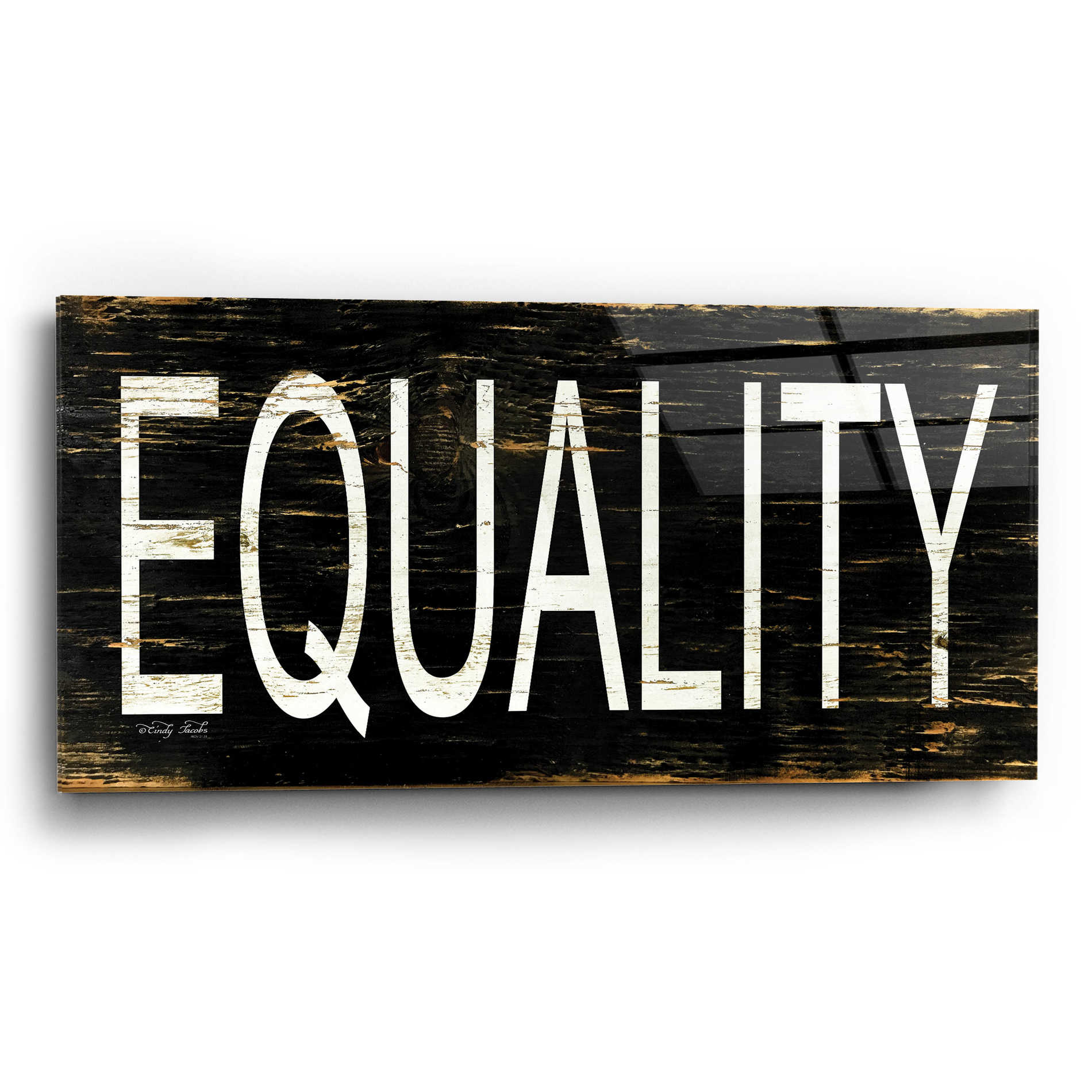 Epic Art 'Equality' by Cindy Jacobs, Acrylic Glass Wall Art,24x12