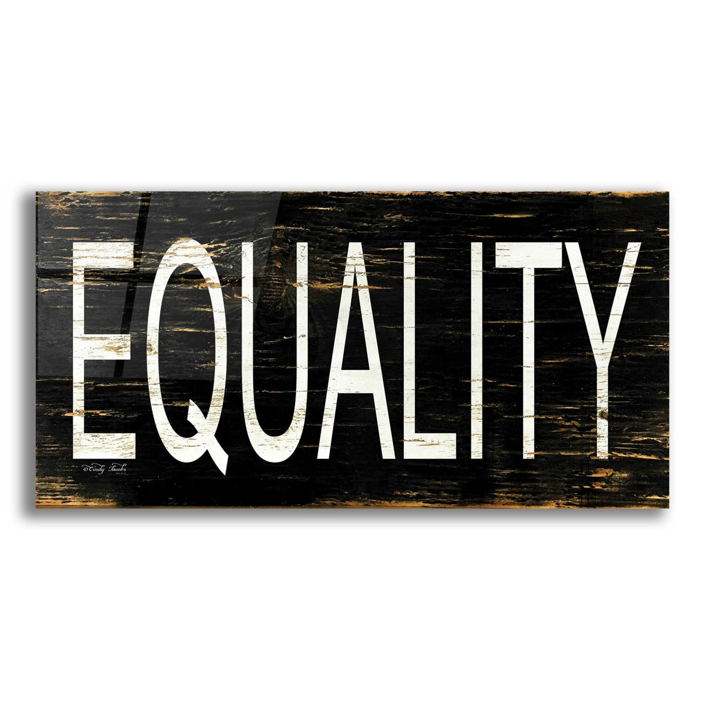 Epic Art 'Equality' by Cindy Jacobs, Acrylic Glass Wall Art,24x12