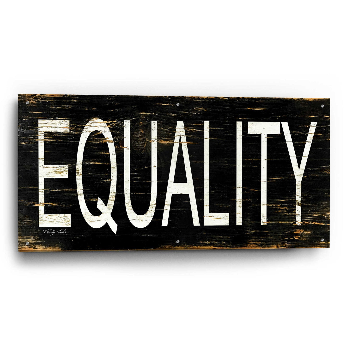 Epic Art 'Equality' by Cindy Jacobs, Acrylic Glass Wall Art,48x24