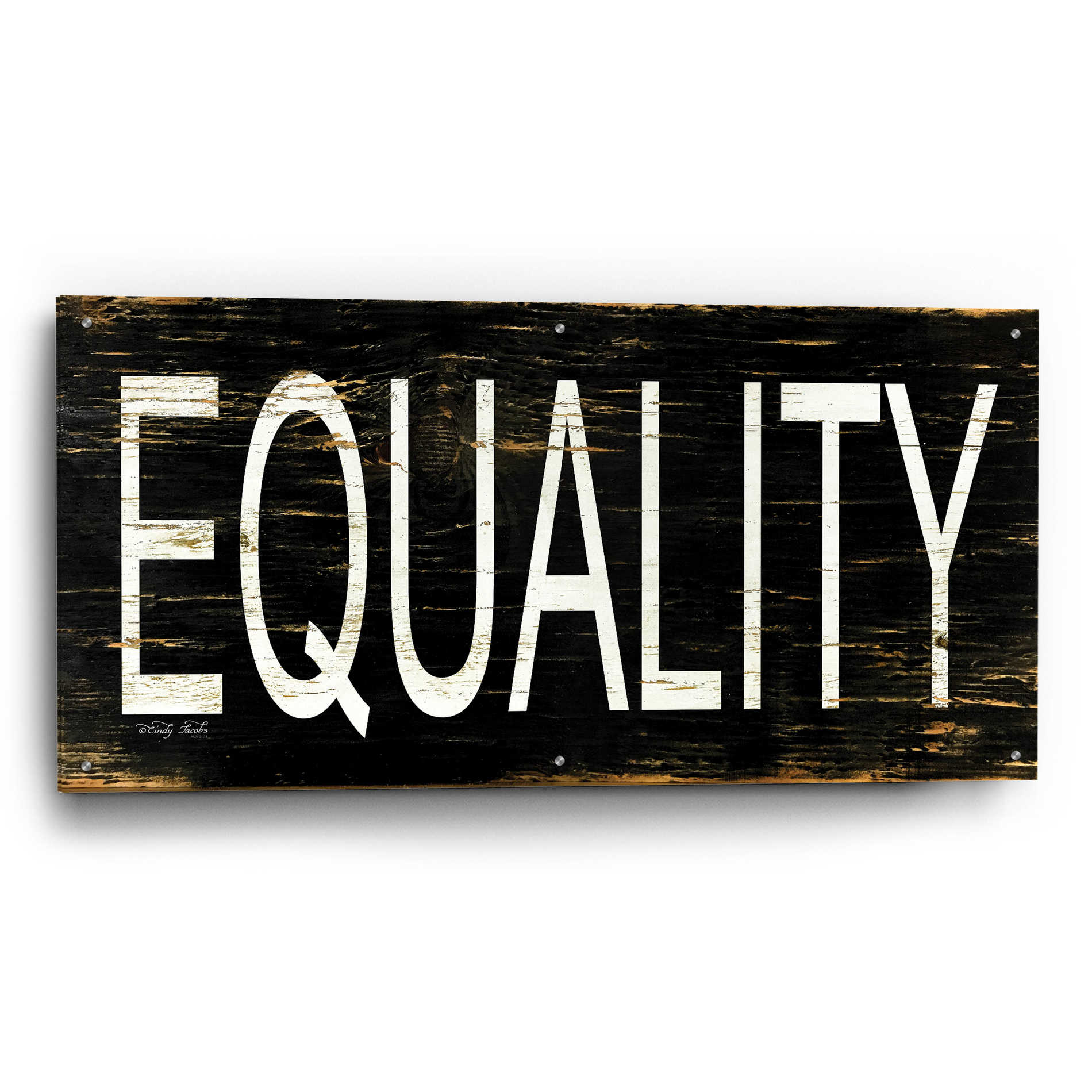 Epic Art 'Equality' by Cindy Jacobs, Acrylic Glass Wall Art,48x24