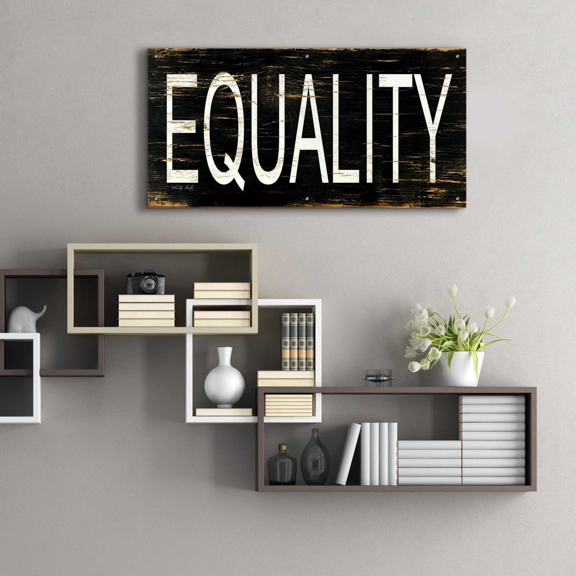 Epic Art 'Equality' by Cindy Jacobs, Acrylic Glass Wall Art,48x24