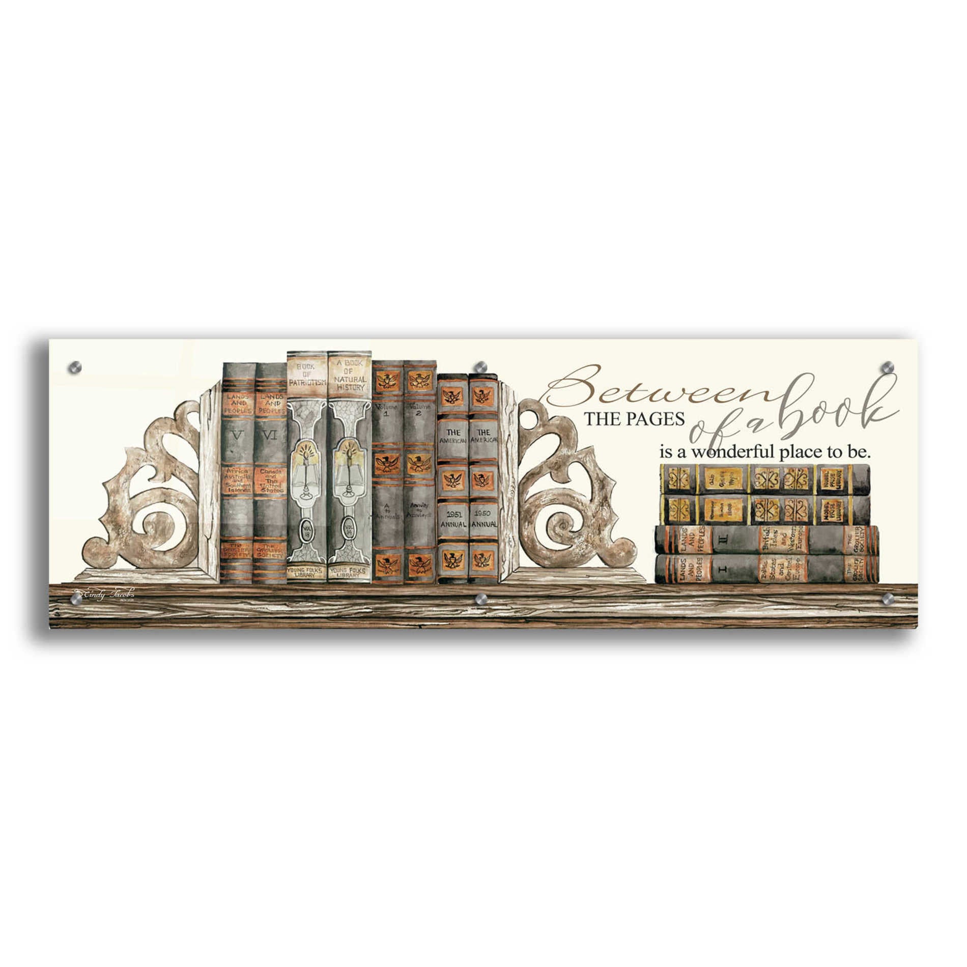Epic Art 'Between the Pages of a Book' by Cindy Jacobs, Acrylic Glass Wall Art,36x12