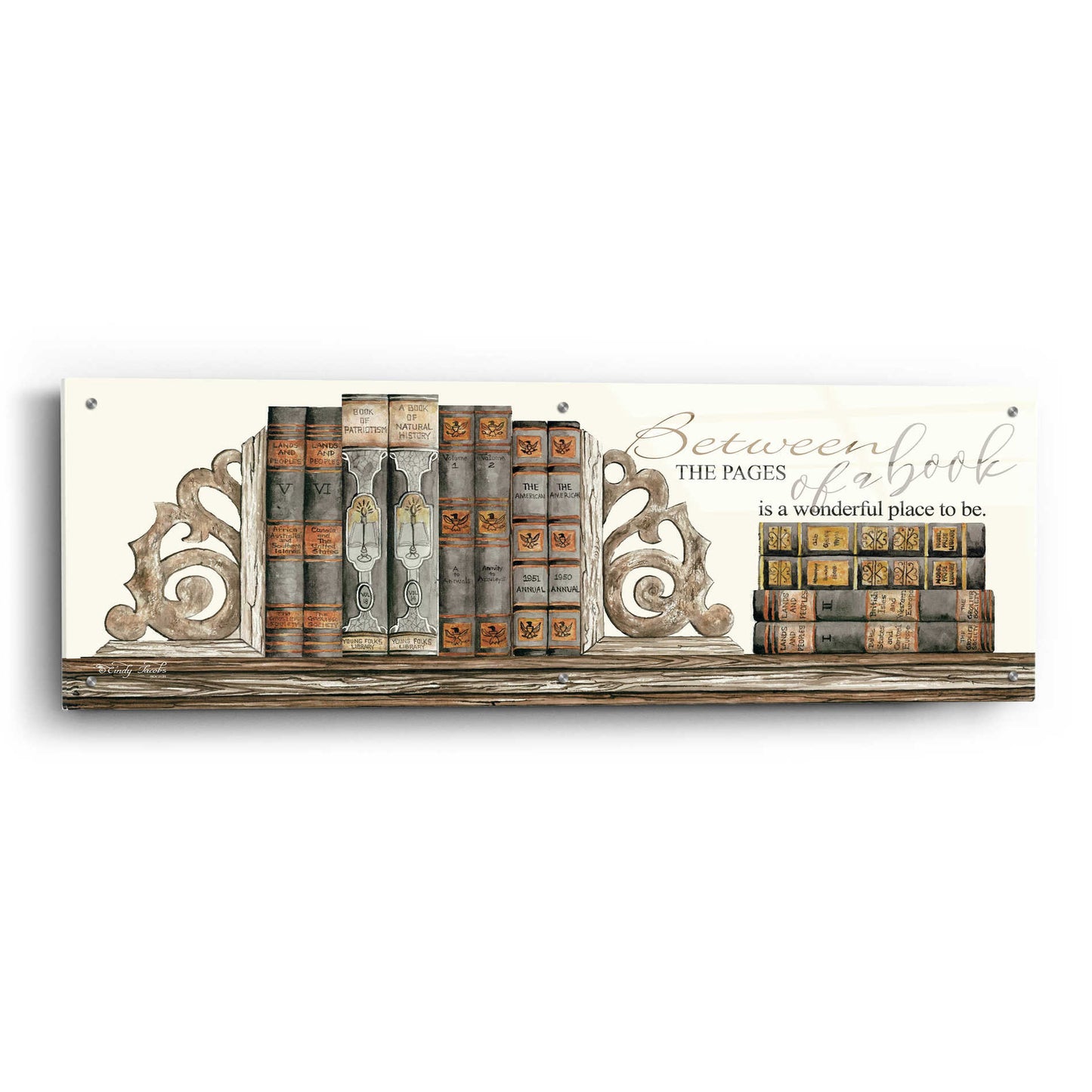 Epic Art 'Between the Pages of a Book' by Cindy Jacobs, Acrylic Glass Wall Art,48x16