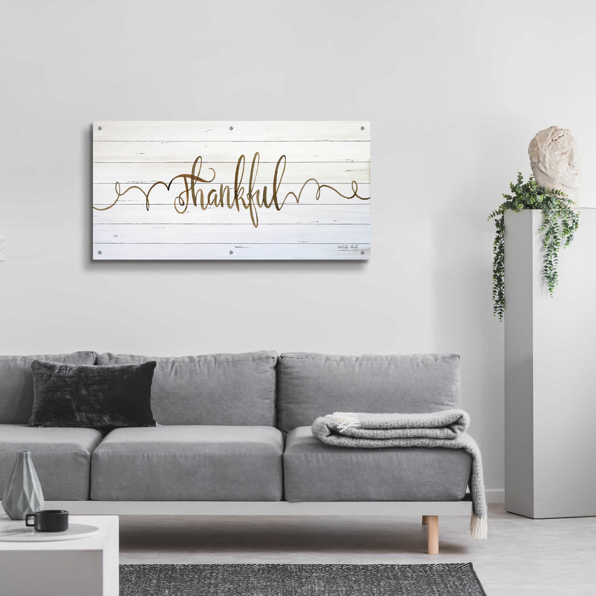 Epic Art 'Thankful' by Cindy Jacobs, Acrylic Glass Wall Art,48x24