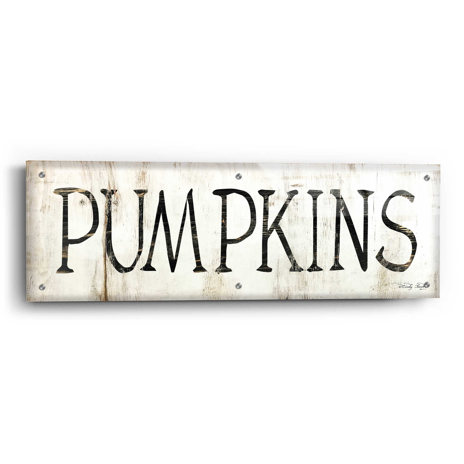 Epic Art 'Pumpkins' by Cindy Jacobs, Acrylic Glass Wall Art,36x12