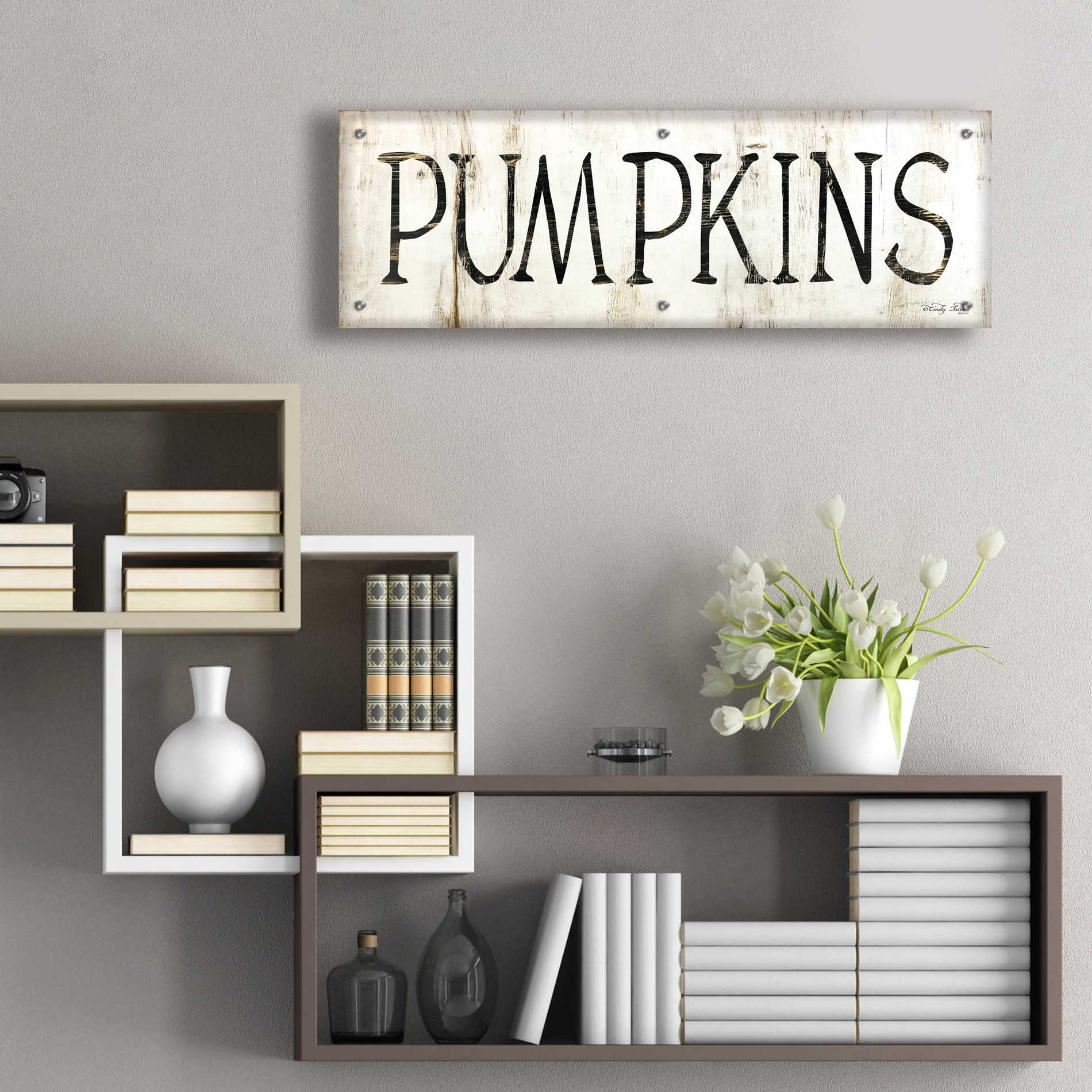 Epic Art 'Pumpkins' by Cindy Jacobs, Acrylic Glass Wall Art,36x12