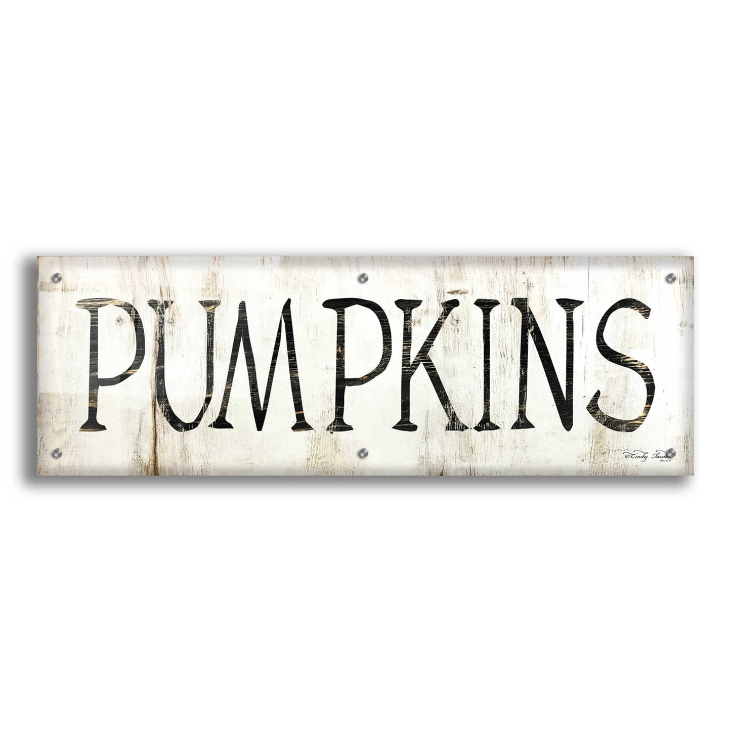 Epic Art 'Pumpkins' by Cindy Jacobs, Acrylic Glass Wall Art,36x12